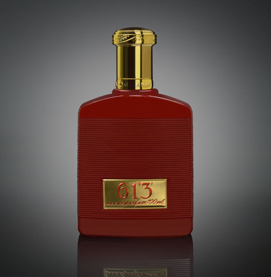 VENT DU NORD 61°3' eau de parfum for men 100ml