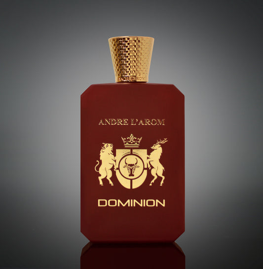 DOMINION eau de parfum pour homme
