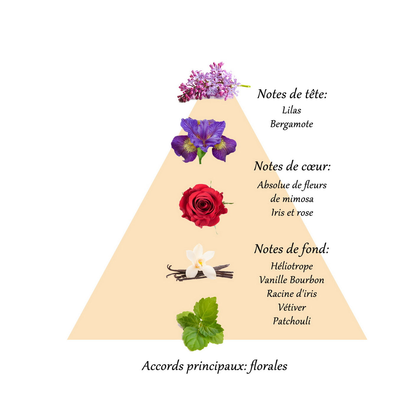 AMAZING IRIS Extrait de parfum pour femme 10ml