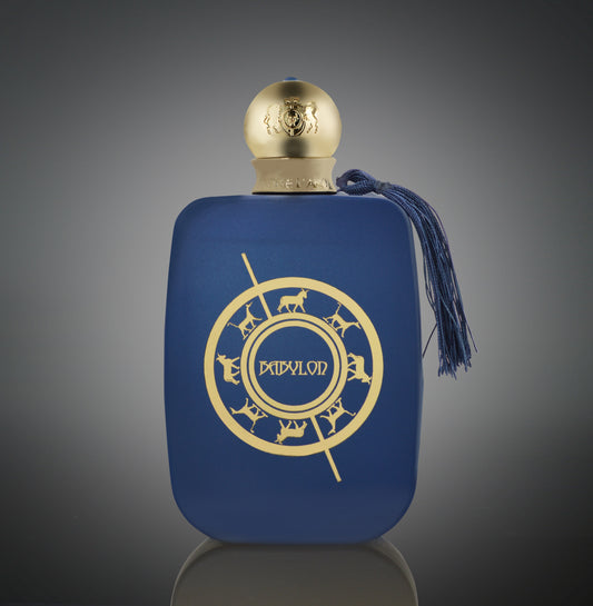 BABYLON eau de parfum pour homme 100ml
