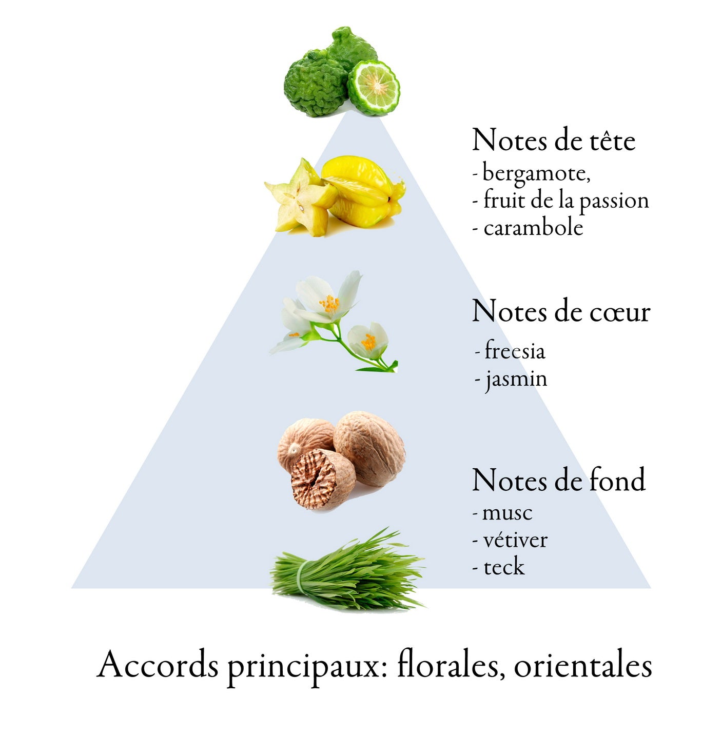 BAROCCO eau de parfum pour femme 50ml