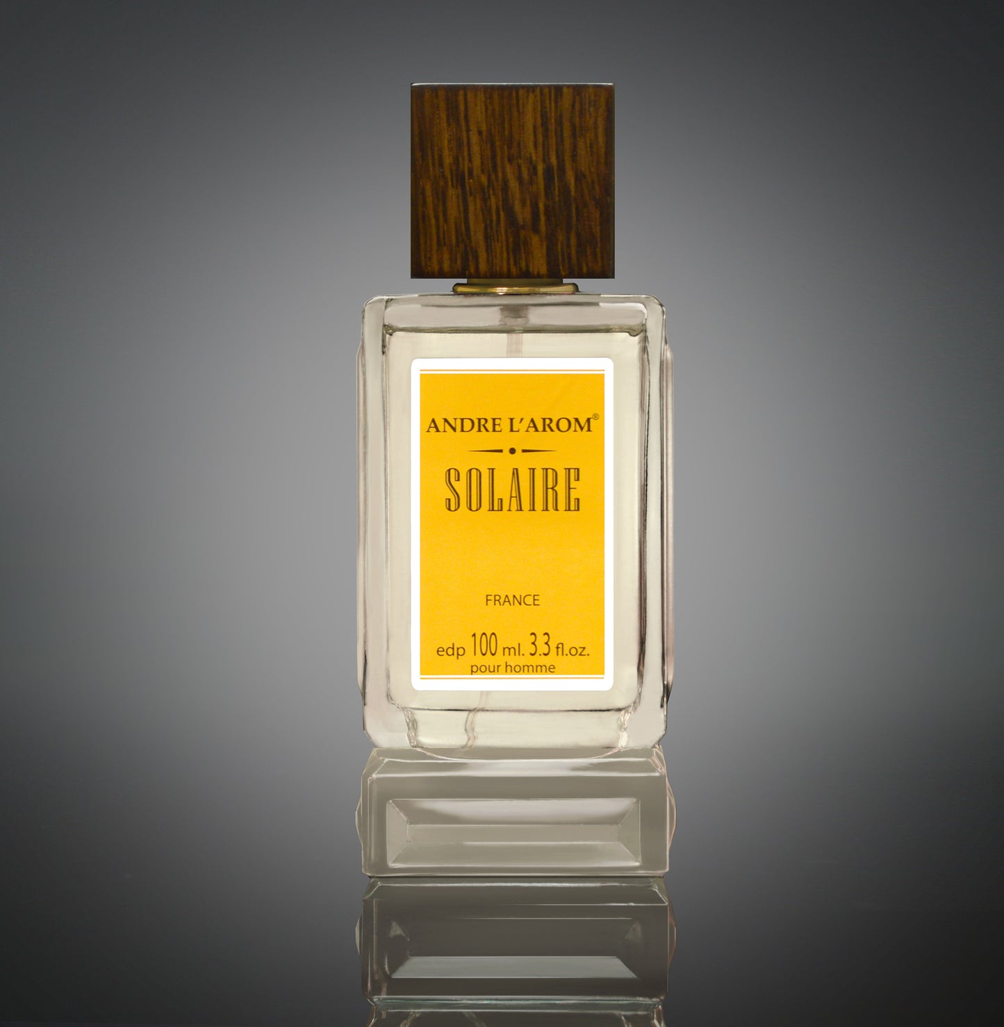 SOLAIRE eau de parfum for men 100ml