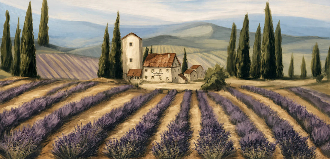Lavender fields and stone buildings in a landscape illustration