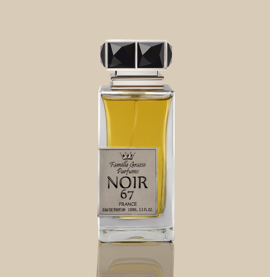 NOIR 67 eau de parfum for men 100 ml