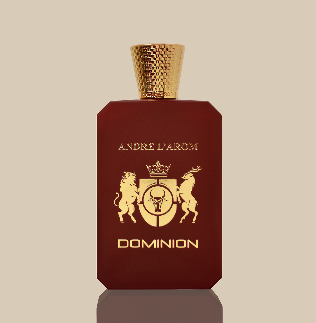 DOMINION eau de parfum for men 100 ml