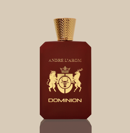DOMINION eau de parfum for men 100 ml