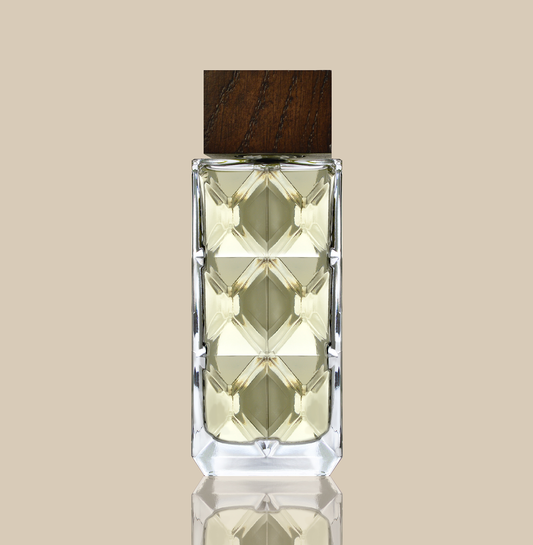 GAGARIN eau de parfum for men 100 ml