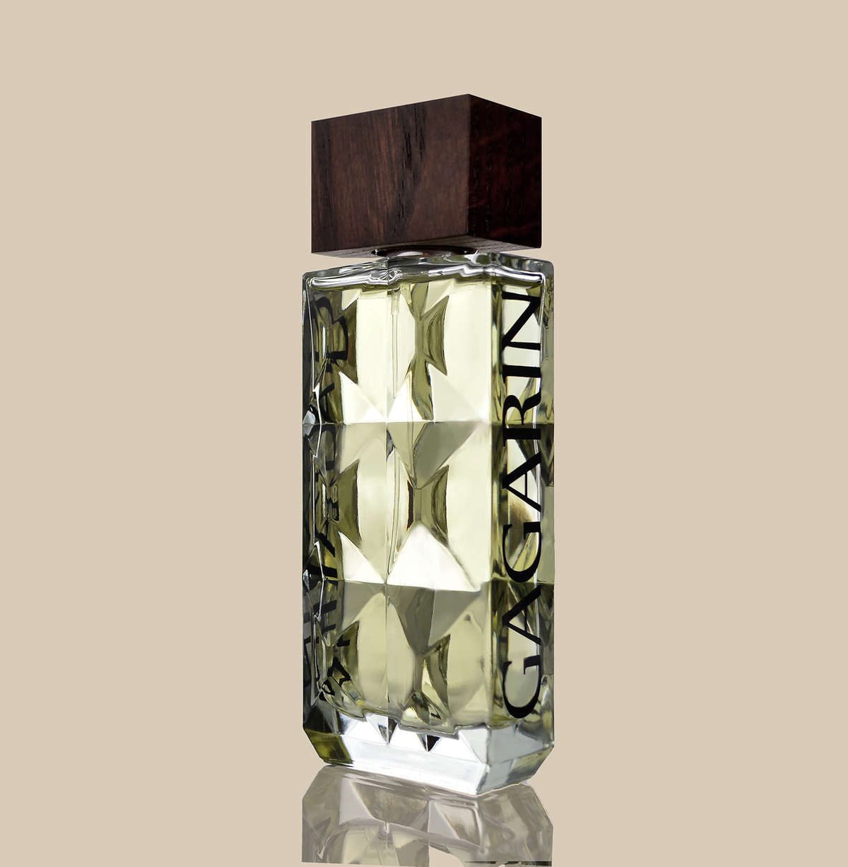 GAGARIN eau de parfum for men 100 ml