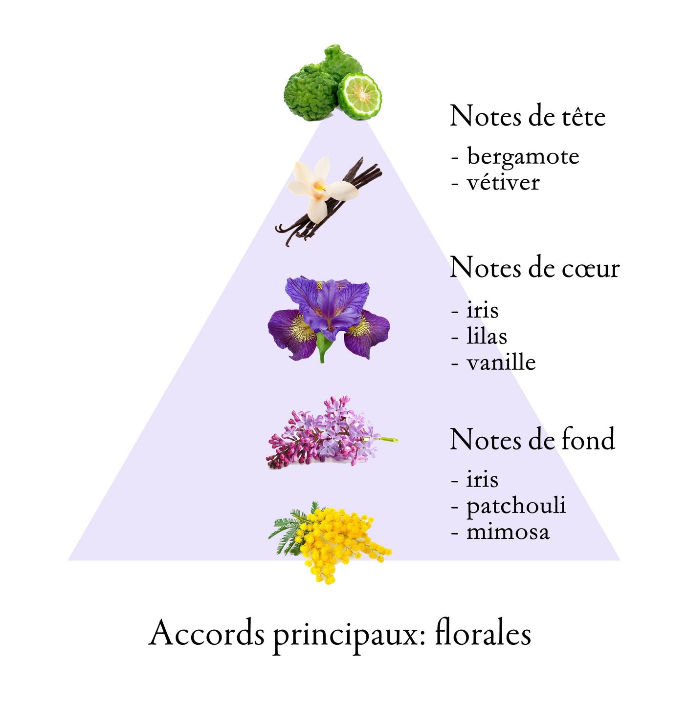 LES FLEURS DE GRASSE IRIS eau de parfum pour femme 5ml