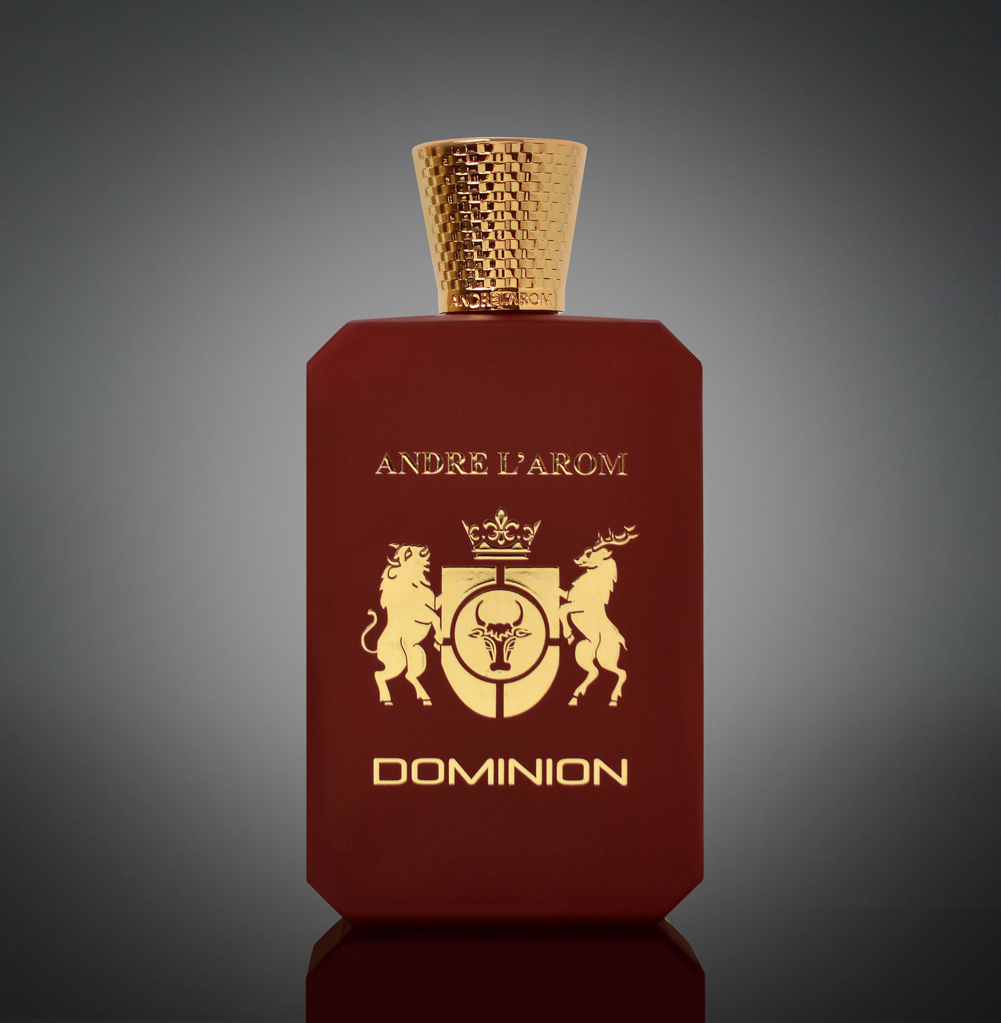 DOMINION eau de parfum for men 100ml